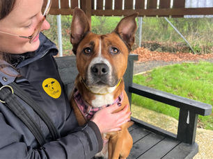 Gorgeous Ginny finds her happy place for Christmas