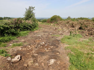 Co Antrim man fined £2,000 for damage to an ancient monument