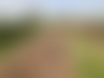 Co Antrim man fined £2,000 for damage to an ancient monument