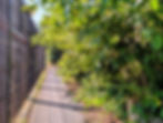 “Getting the next cut done while the sun shines in the Sperrins this morning!” 🚜🌱  📸 Rachel Cassidy