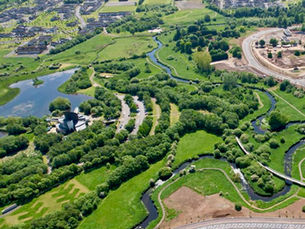 Alliance motion on tree protection wins support of Mid and East Antrim Council