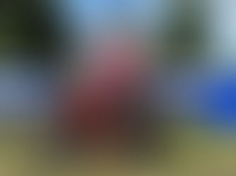 Classic bikes set for Armoy Road Races