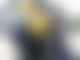 Muir announces ‘Lucy’s Law’ for Northern Ireland as DAERA moves to ban third-party puppy and kitten sales