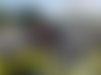 Coronation to be broadcast on big screens in Ballymena, Larne and Carrickfergus