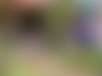 MEA secures £60k for new inclusive sensory trails at People’s Park and Carnfunnock