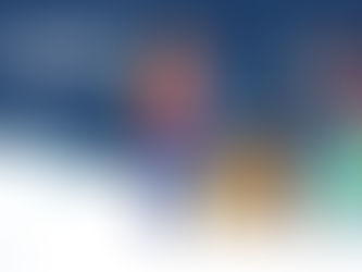 Christmas bin collection dates reminder!