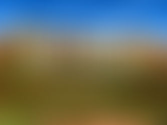 I’m A Celebrity…South Africa