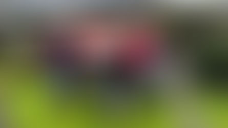 Shilnavogie Sheep Dog Trial raises £1,502.50 for Air Ambulance NI