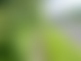 MEA Council supports motion highlighting frustration over lack of grass cutting and maintenance