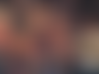 NI councillor calls for urgent fireworks law review after dog suffers fatal anxiety-induced stroke