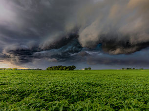 Yellow weather warning issued for Northern Ireland with forecast of thunderstorms