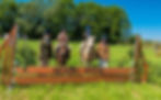 The Newry Agricultural Show will return on Saturday, 27th June 2026, at 12–18Derrywilligan Road, Bessbrook, Co. Down. Gates open at 9 am.