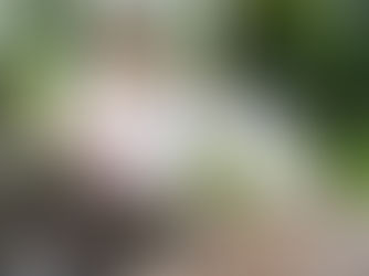 We Built A Zoo with TikTok star Kyle Thomas