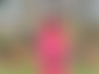 MEA Council distributes over 900 free native trees to residents marking National Tree Week 2023