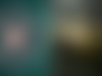 Police issue urgent warning on investment scams targeting vulnerable in Northern Ireland