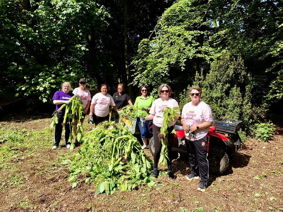 Asda Community Champions clearing up at Ram's Island