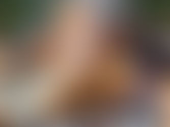 NI council seeking to curb use of disposable BBQs by raising awareness of dangers