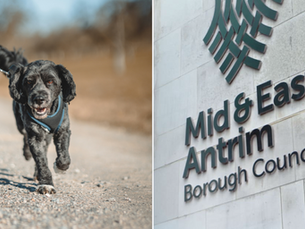 Mid & East Antrim Council prosecute for no dog licence, straying and permitting dogs to foul