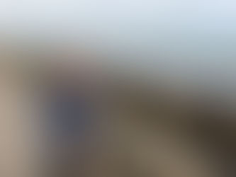 Action finally taken on dangerous Coast Road railings in Larne – Danny Donnelly MLA