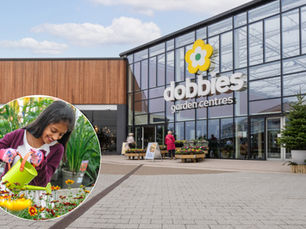 Free activities for kids this Summer at Dobbies’ Antrim and Lisburn stores