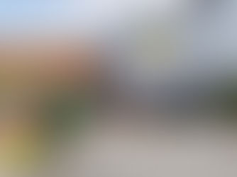 Free activities for kids this Summer at Dobbies’ Antrim and Lisburn stores