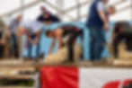 Sheep shearing demonstration at the Ballymoney Show 2025.