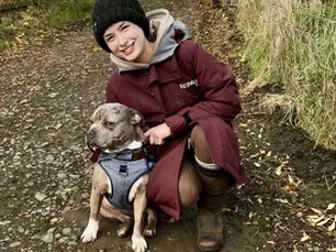 Max the dog spared destruction order finds new home in Antrim