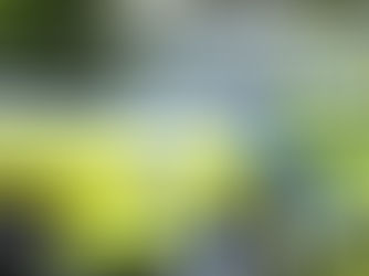 Man arrested in Antrim after number of race hate incidents “which have caused great distress”