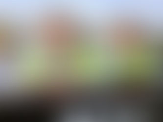 Tesco NI sponsors Schools Trail for kids at 2025 Balmoral Show