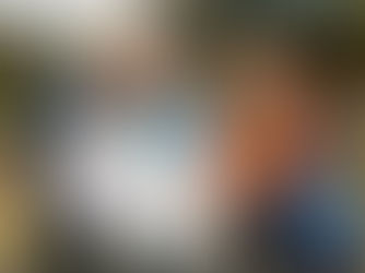 Plan a cracking day at Balmoral Show with Translink