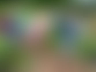 Blooming best in the MEA Borough announced