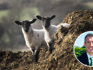 Muir calls for tax relief to protect Northern Ireland’s farming future