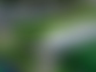 Ballymena Showgrounds earmarked for new 3G pitch