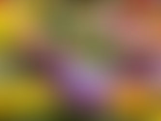 Get your garden Spring ready at the Spring Plant Fair!