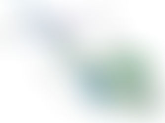 Holiday park plans for rural Co Antrim