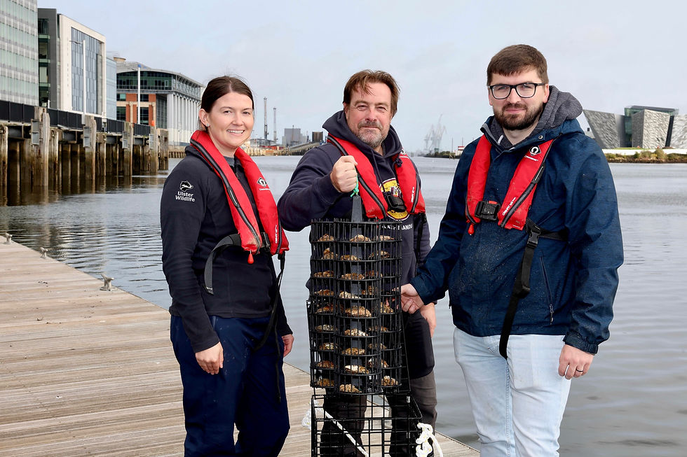 Rachel Millar, Marine Conservation Officer, Ulster Wildlife; Dr Dave Smyth, Marine Conservation Manager, Ulster Wildlife; Simon Gibson, Marine, Environment & Biodiversity Officer, Belfast Harbour