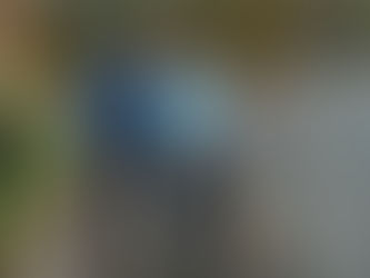 Paul Frew calls for urgent safety measures on Ballymena’s Galgorm Road amid high accident rates