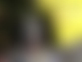 Sponsor Zebedee: Dogs Trust Ballymena offers ‘pawfect’ Christmas gift for dog lovers