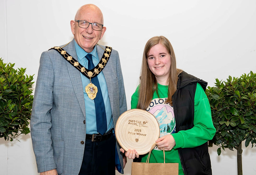 Runner Up of Best Kept Community Planting Scheme – Scarlett's Reflection Garden (Larne)