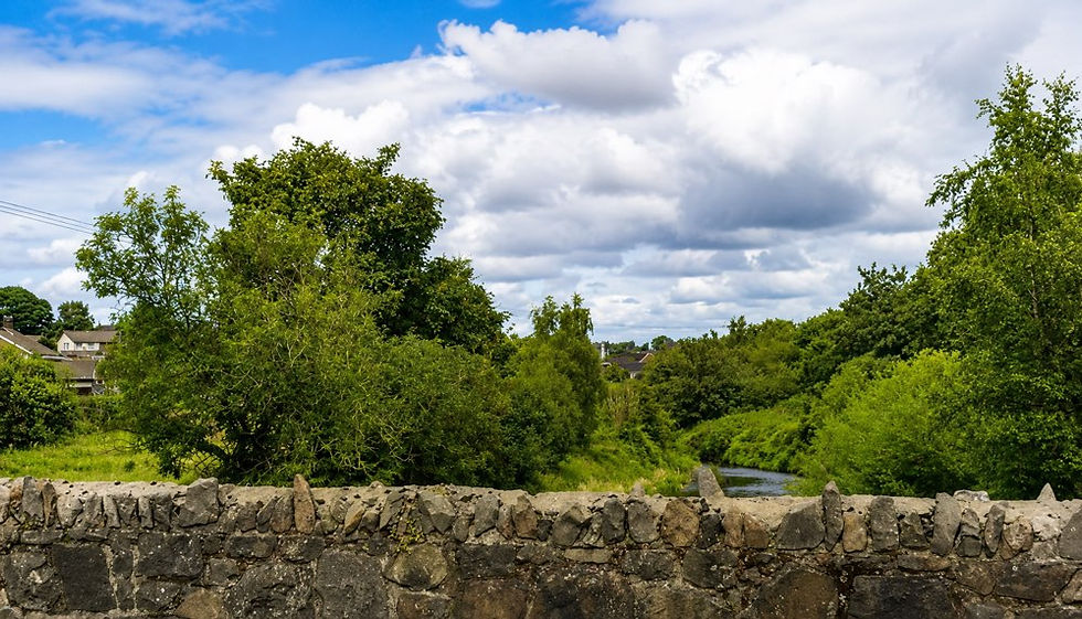 Ballymena housing plan approved despite 1,000-signature petition and residents’ objections