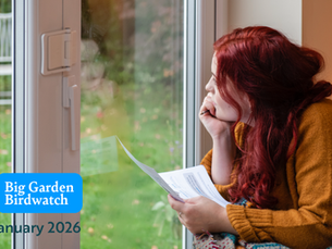 RSPB Big Garden Birdwatch 2026 returns as Northern Ireland urged to make every bird count