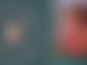 Police missing person appeal | Cherelle Duffin