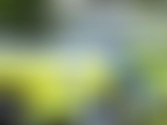 Resident left shocked and frightened after aggravated burglary in Rasharkin