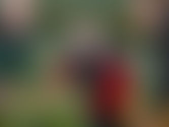 How wildflowers, bees and hand-trimmed sprouts are transforming M&S’s Christmas dinner