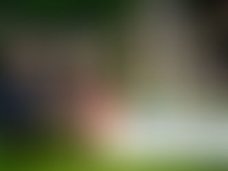 NI women’s captain Marissa Callaghan commends Council on hosting Euro 2022 fanzones