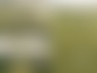 Irish FA announces plans for National Football Centre in Ballymena