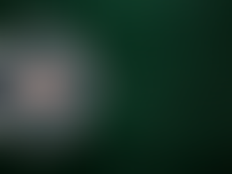 Woman (31) sentenced following robbery at shop in Mid & East Antrim