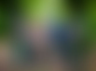 Rural Crime Week NI 2025: Police and partners unite to support farming & rural communities