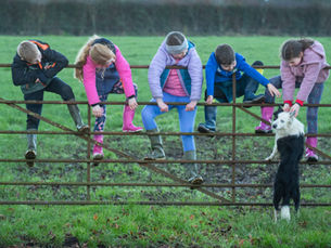 New Embrace FARM programme to support children and young people coping with grief after farm tragedy