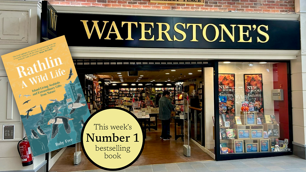 Waterstone’s bookshop, Ballymena